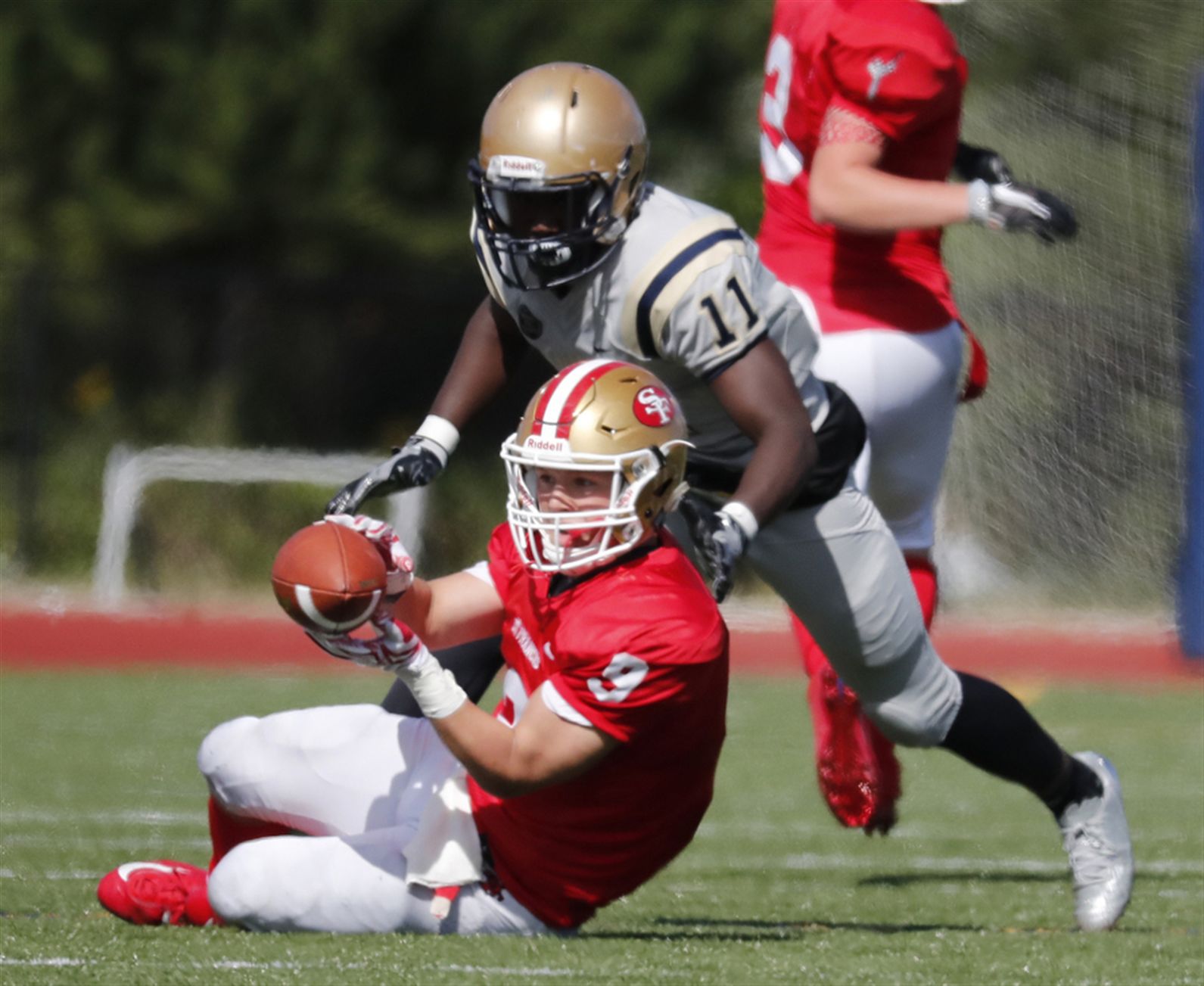 Canisius 55, St. Francis 13